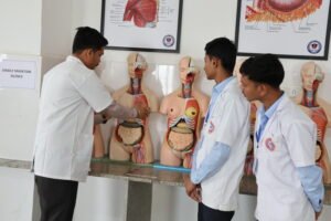 anatomy lab (1)