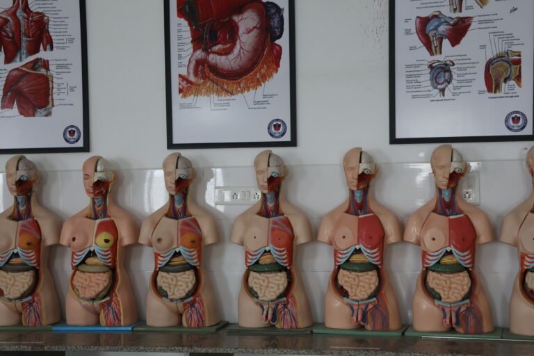 anatomy lab (13)