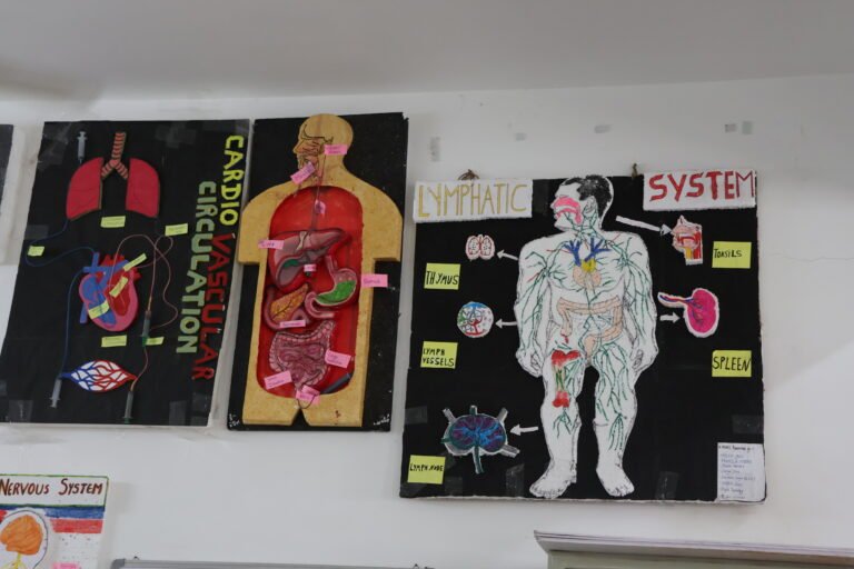 anatomy lab (14)