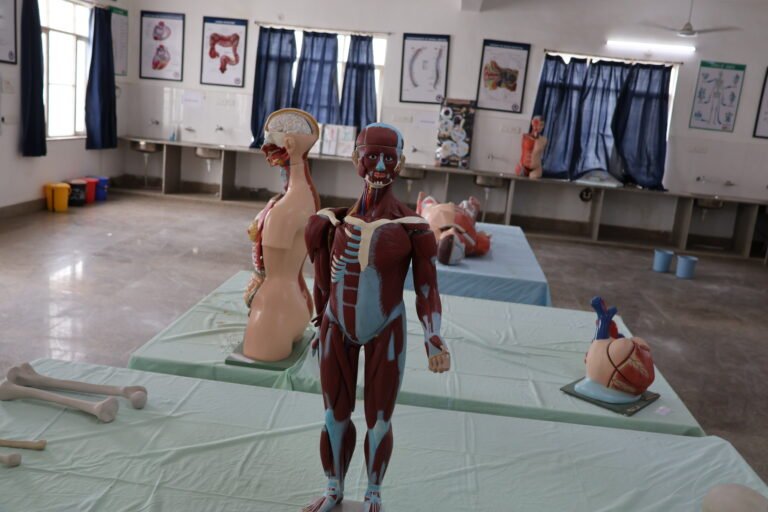 anatomy lab (15)